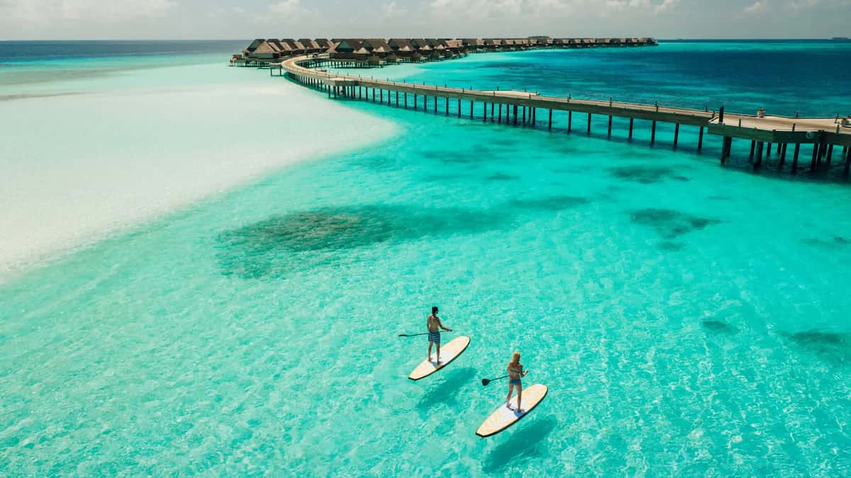 Maldives blogs banner