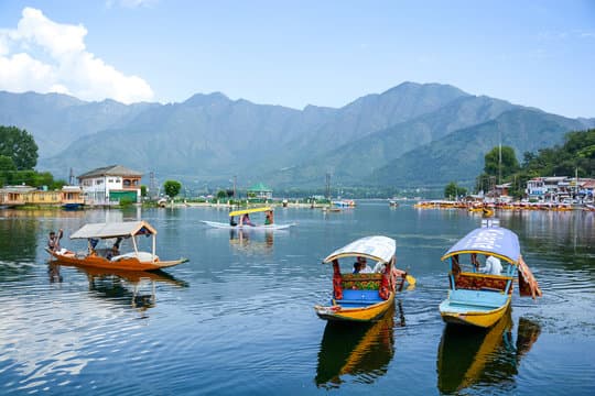 Kashmir