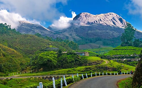 15 Things to Do in Munnar: A Complete Guide Of 2026