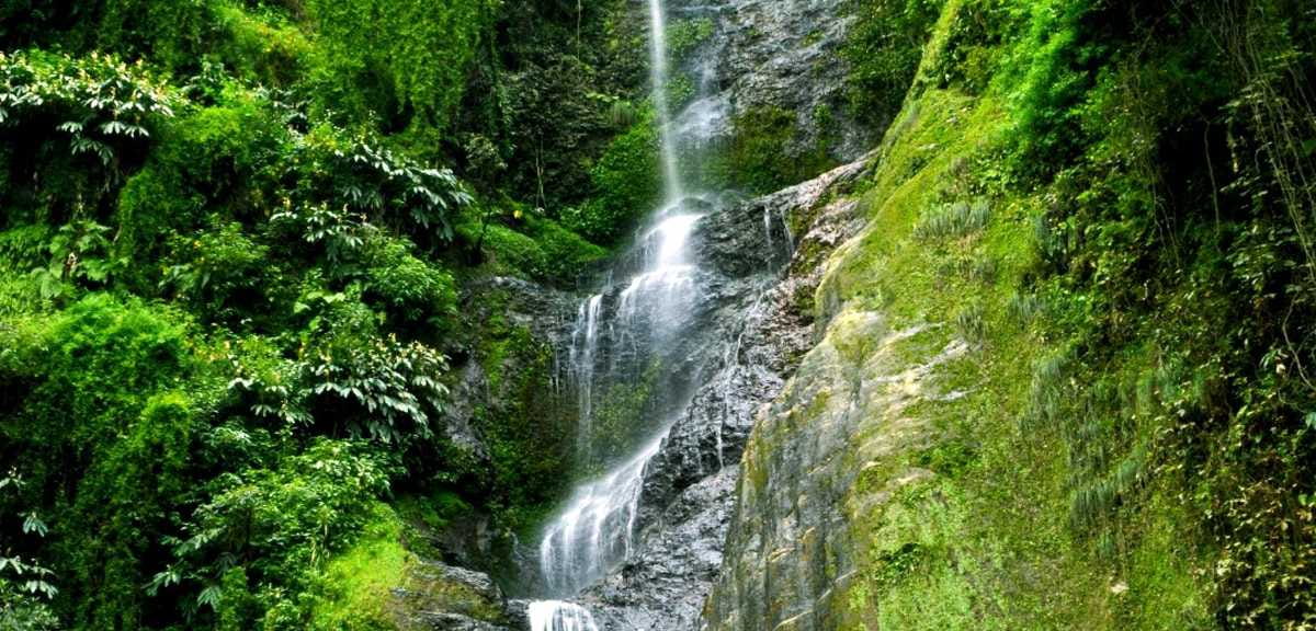 5 Days Himachal Tour Package - 4N&5D Shimla-Manali itinerary
