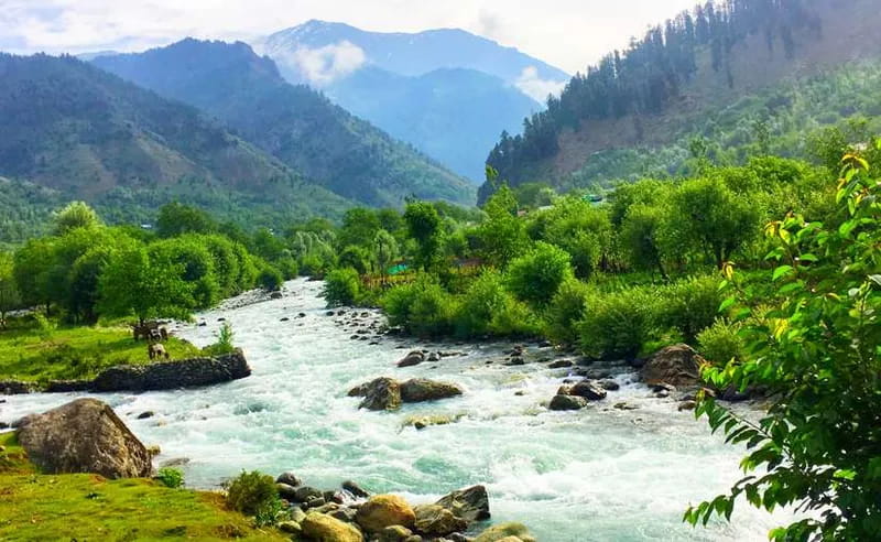 Aru Valley Travel Guide: Explore Kashmir's Hidden Gem