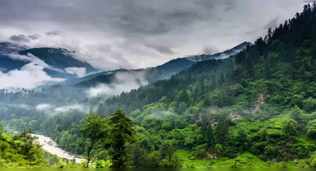 20 Best National Parks in India for Wildlife and Nature Lovers