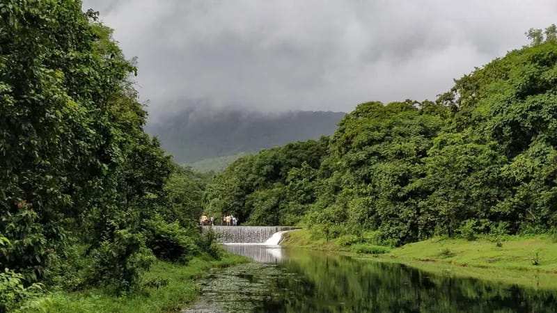 Trek to Dudhsagar Falls Goa for a thrilling experience